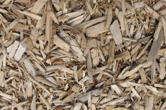 biomass boilers Bustatoun